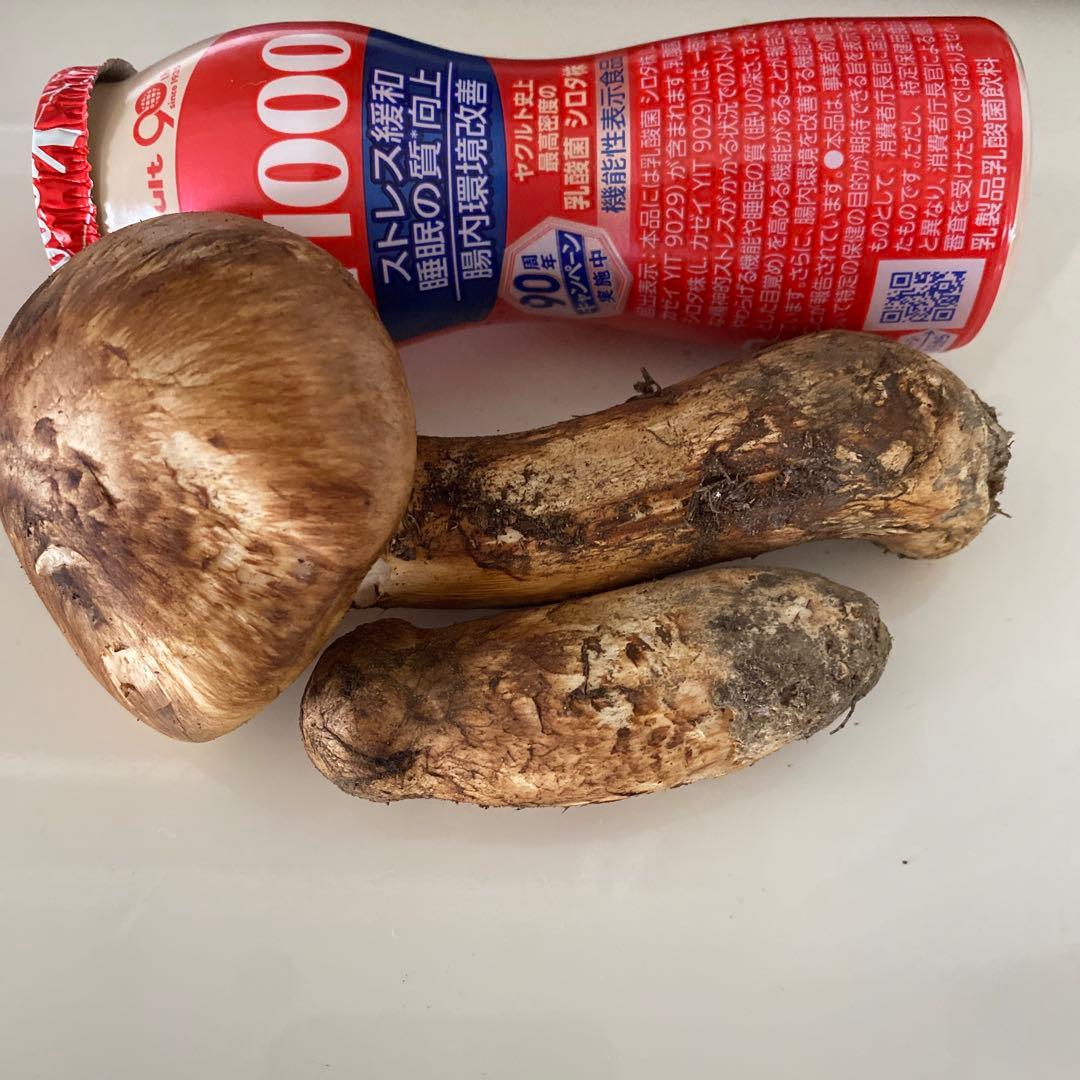 国産松茸１０５g