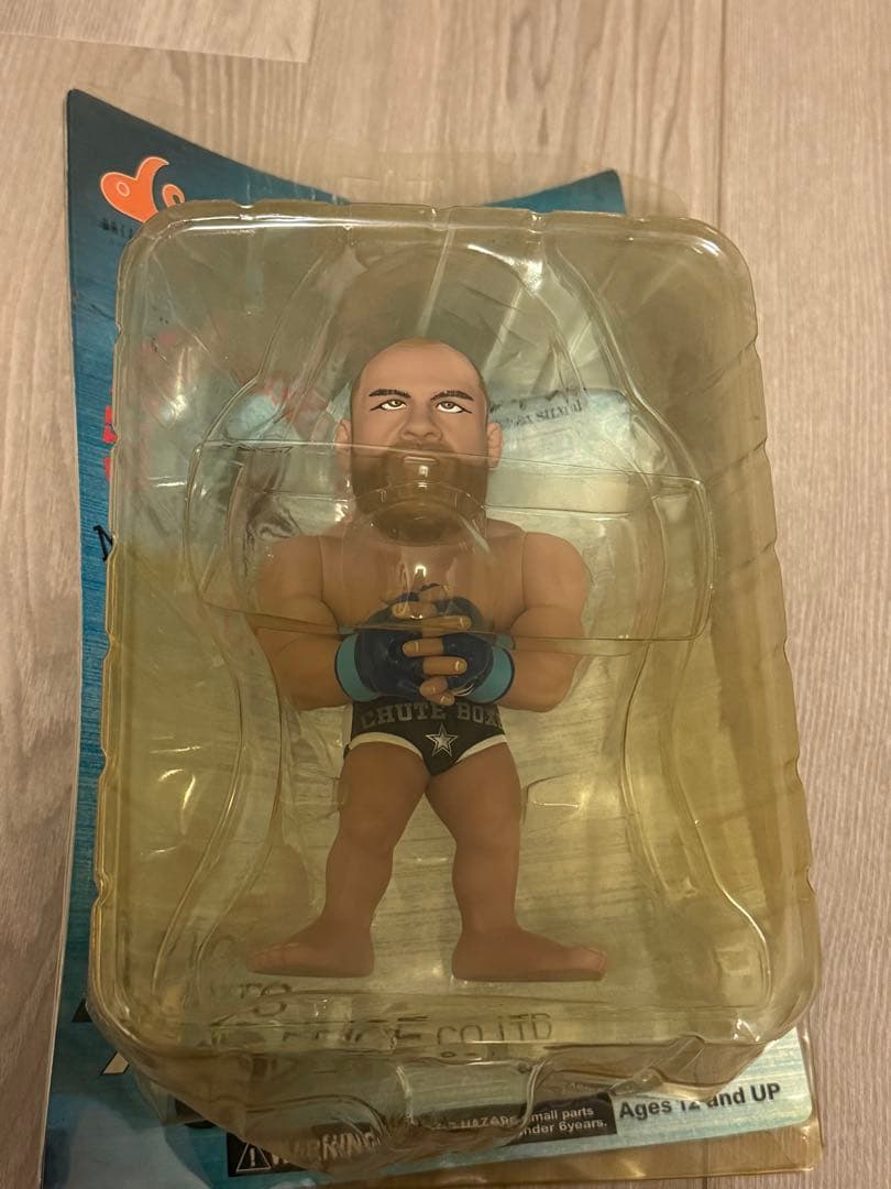 ヴァンダレイ・シウバ　フィギュア　HAO COLLECTION