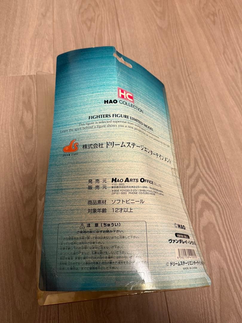 ヴァンダレイ・シウバ　フィギュア　HAO COLLECTION