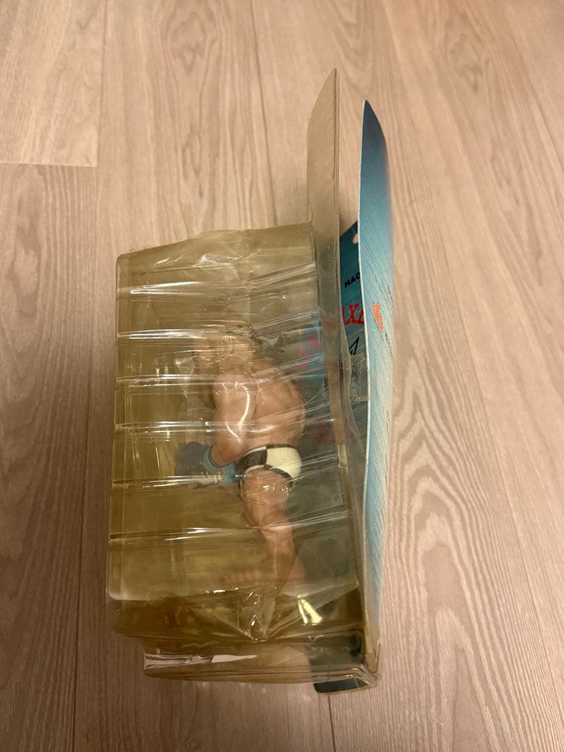 ヴァンダレイ・シウバ　フィギュア　HAO COLLECTION