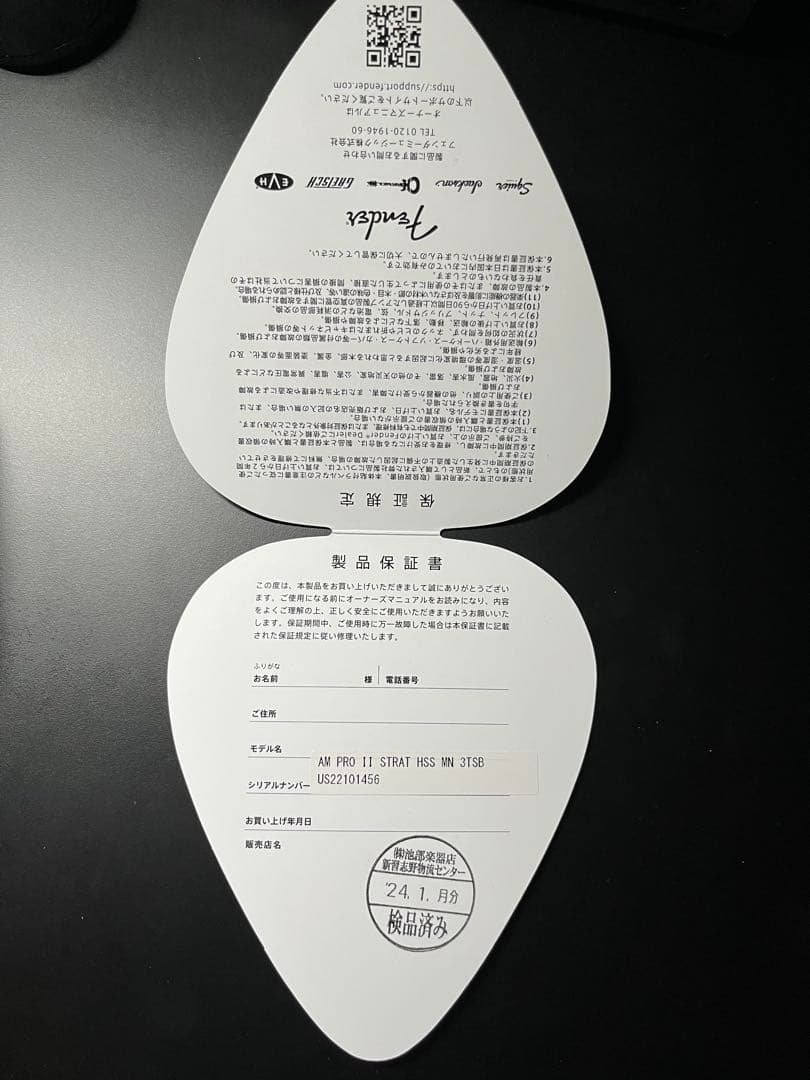 ギター Fender American Professional II