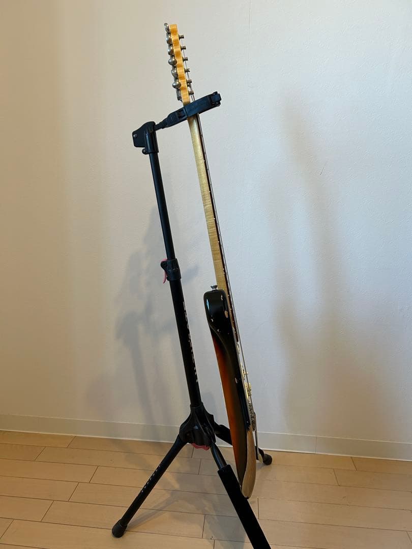 Vanzandt STV-R2 マダガスカルローズ指板