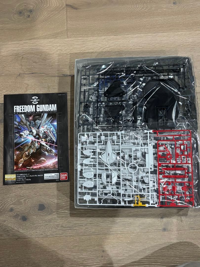 MG フリーダムガンダム Ver.2.0