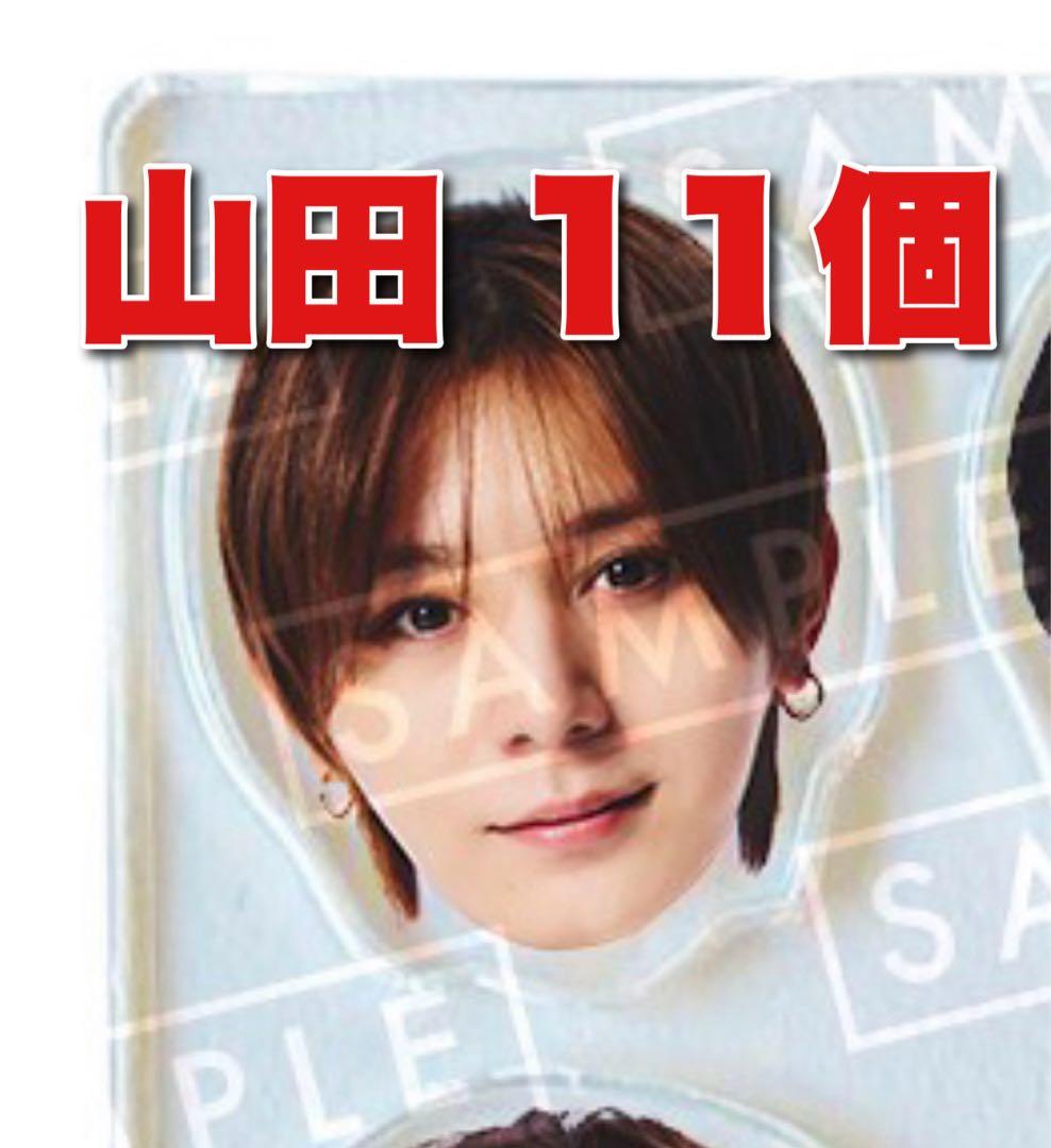 山田 アクリルチップ 11個セット