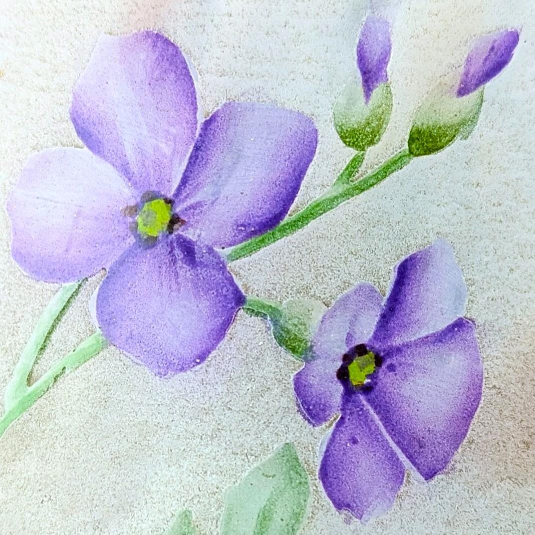 マッチー　ドーム・ナンシー 夜明けの菫の情景 ミニチュア水差 超絶技巧 ジ