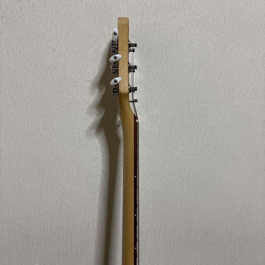 美品　Pignose ピグノーズ アンプ内蔵 ミニ エレキギター　ソフトケース付