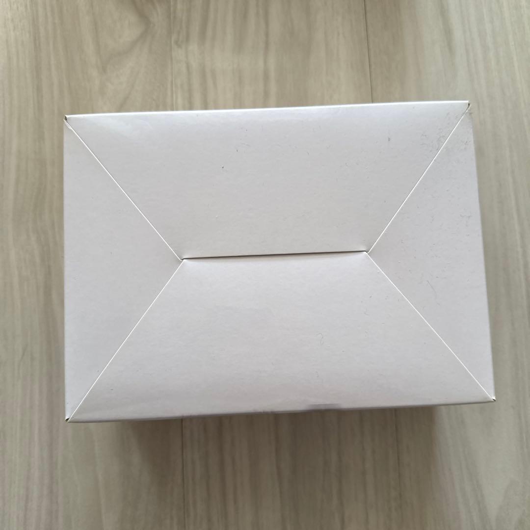 ポケモンスケールワールド ワタル&カイリュー