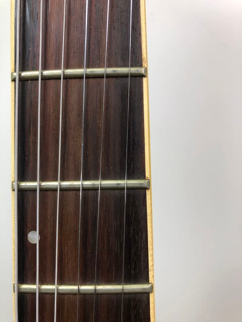 猫幸　EDWARDS PENICILLIN 千聖　EMG 81 85