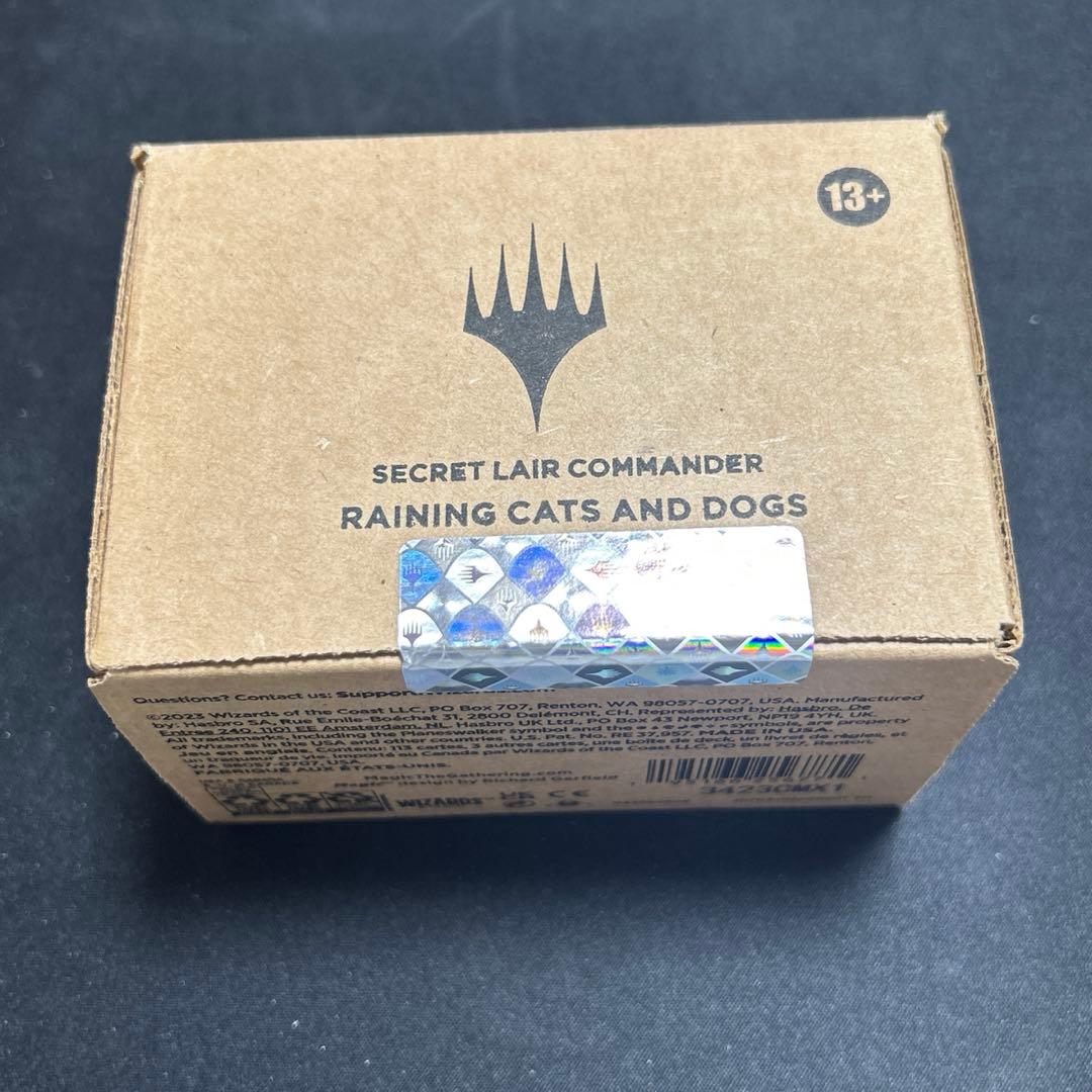 マジック：ザ・ギャザリング MTG Secret Lair : Raining Cats & Dog