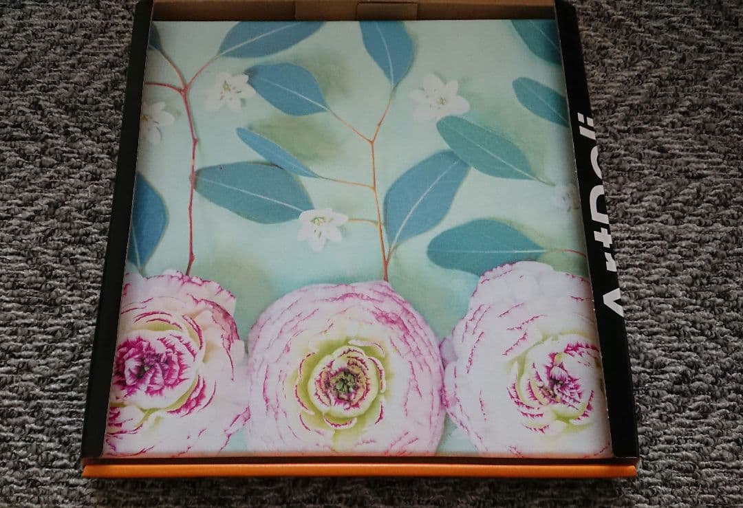 未使用 ArtDeli アート ポスター 自然 植物花系 まとめて 8個