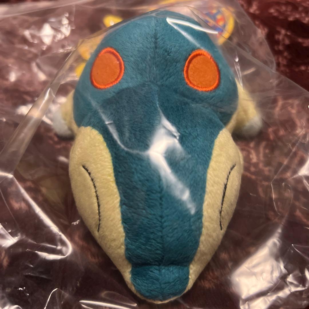 ポケモンセンター　ヒノアラシ　10thアニバーサリー ポケモンドール　ぬいぐるみ