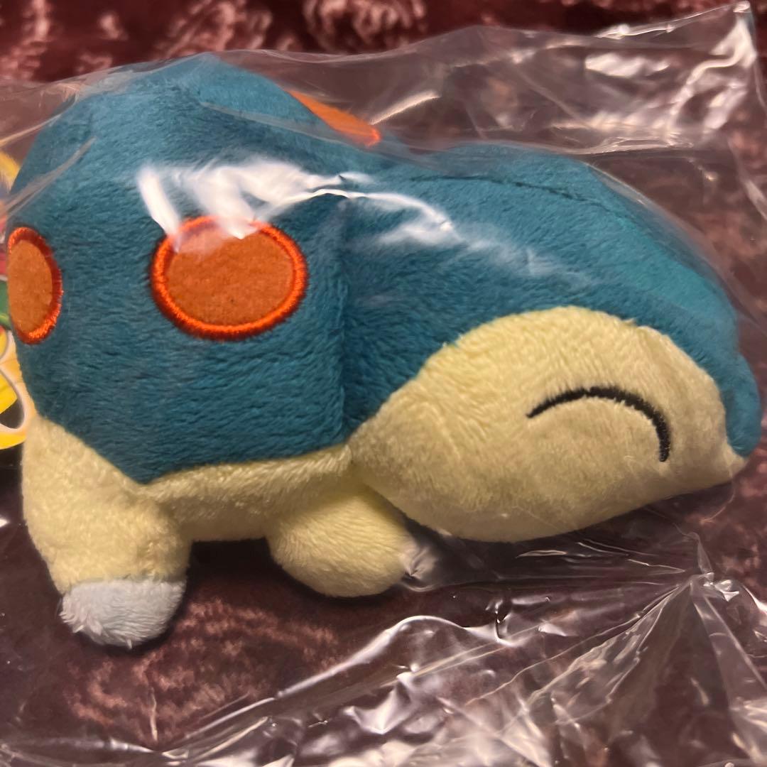 ポケモンセンター　ヒノアラシ　10thアニバーサリー ポケモンドール　ぬいぐるみ