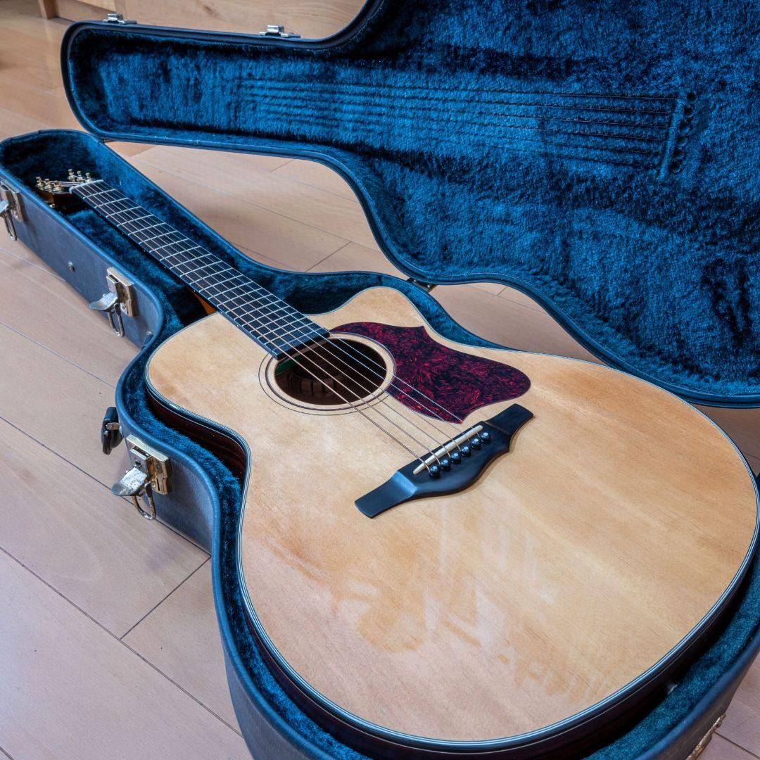 ヤイリギター 80thモデル trinity