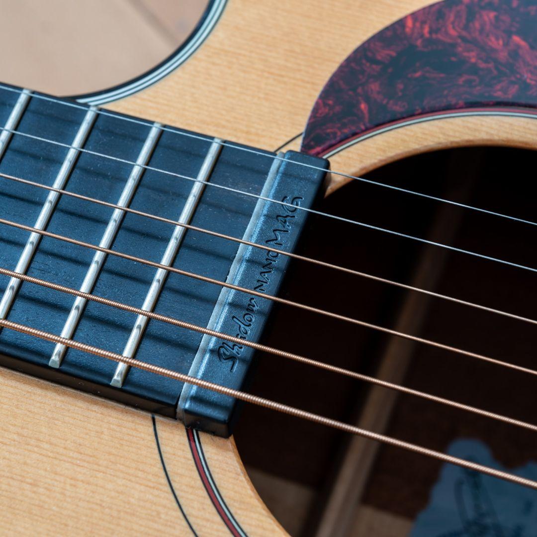 ヤイリギター 80thモデル trinity