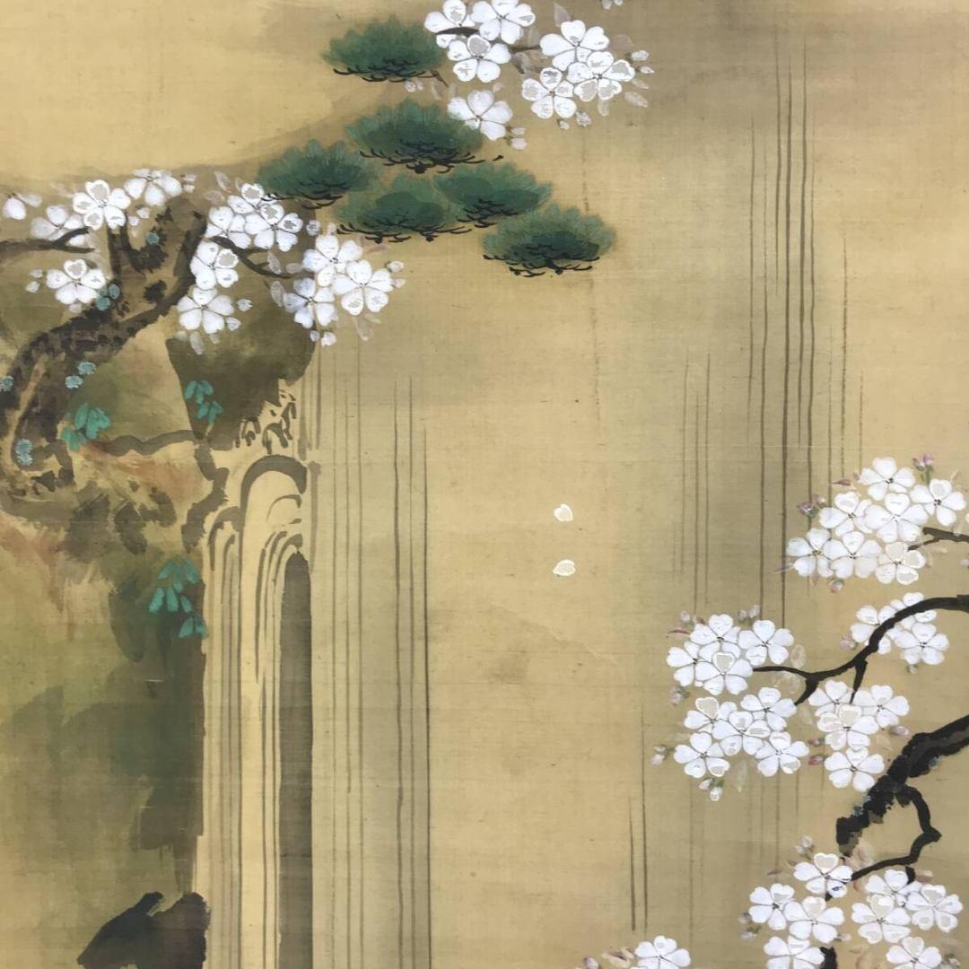 真作/狩野伊川院/滝昇鯉図/桜図/鯉図/コイ図/掛軸☆宝船☆AK-309