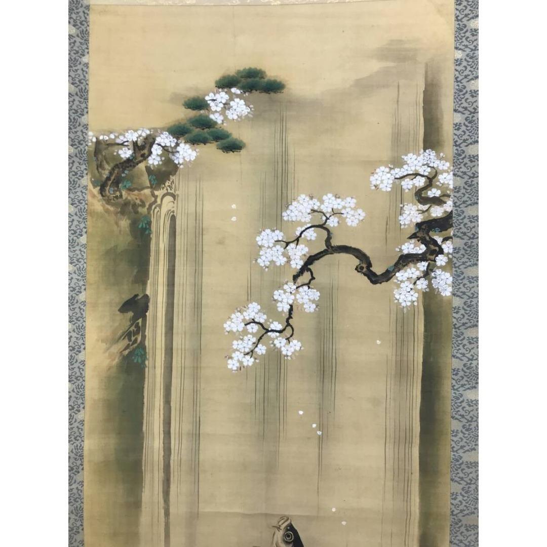 真作/狩野伊川院/滝昇鯉図/桜図/鯉図/コイ図/掛軸☆宝船☆AK-309