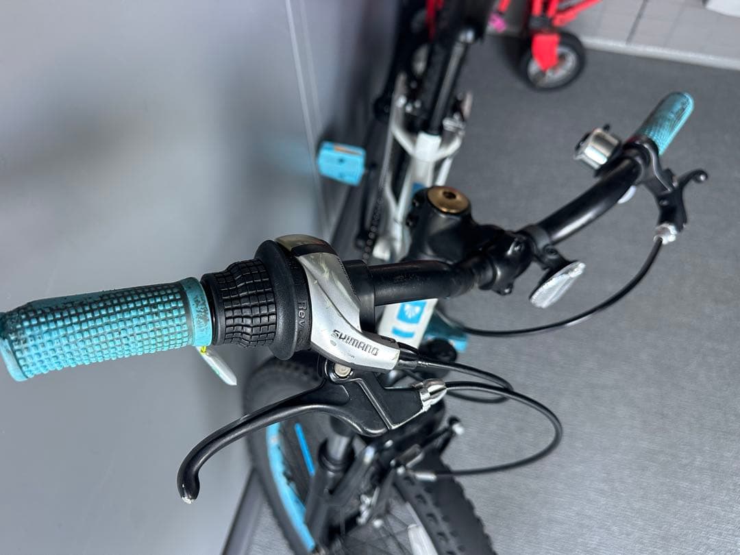 Trek Precaliber 20 7-speed 子供自転車