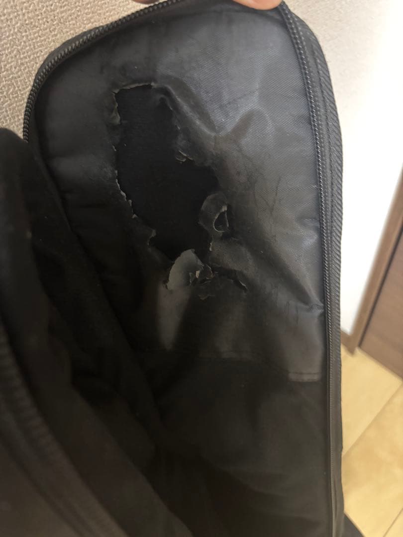 SCHETER SD-2 ピックアップ、ストラップ、ギグバッグおまけ付き