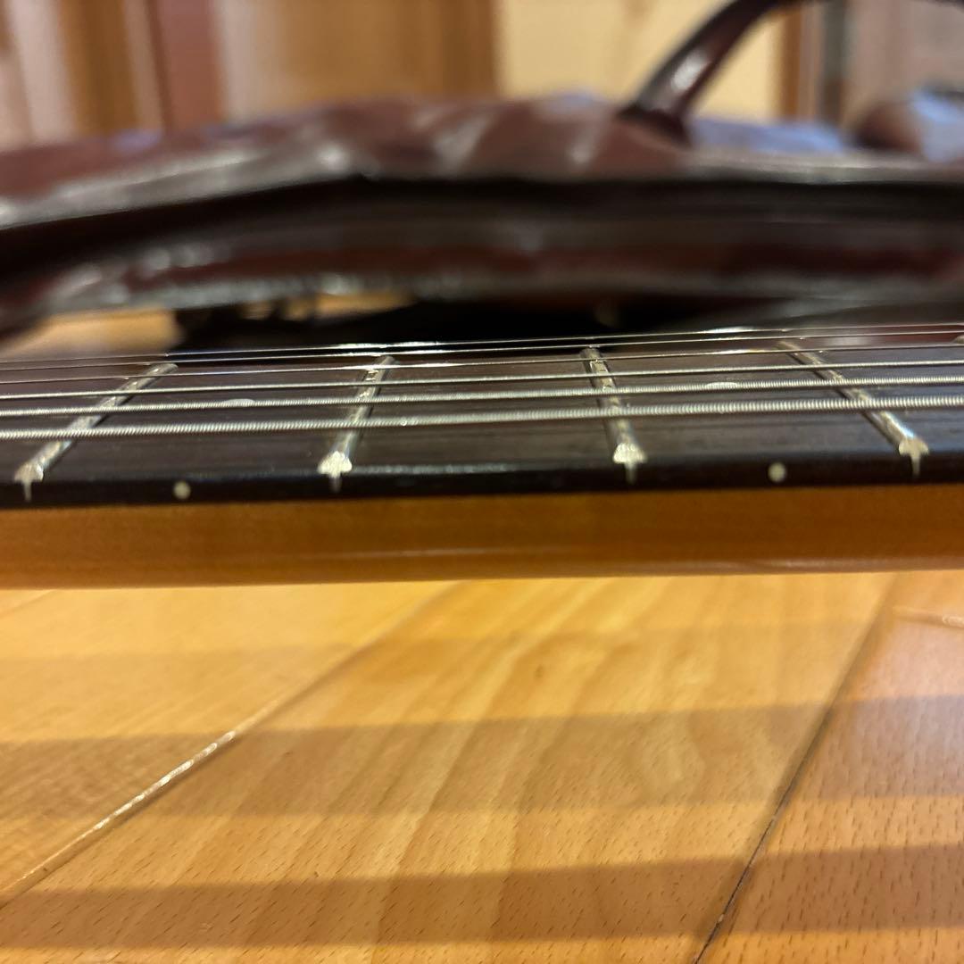 FERNANDES FGZ400 ブラックパーツ仕様 トレモロアーム・ケース付