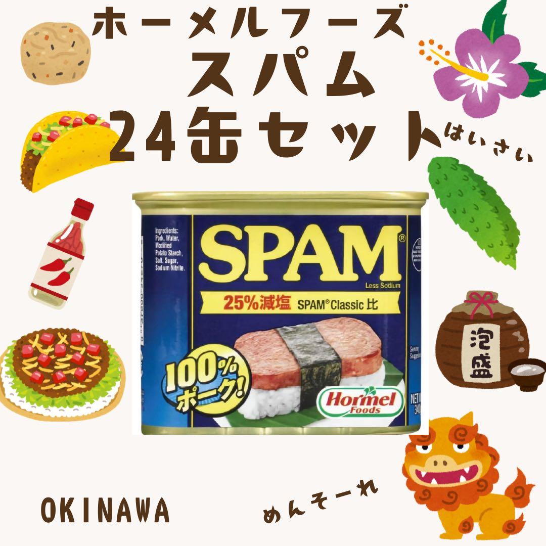 沖縄限定 減塩スパム 340g×24缶セット 簡単料理 ミネラル豊富