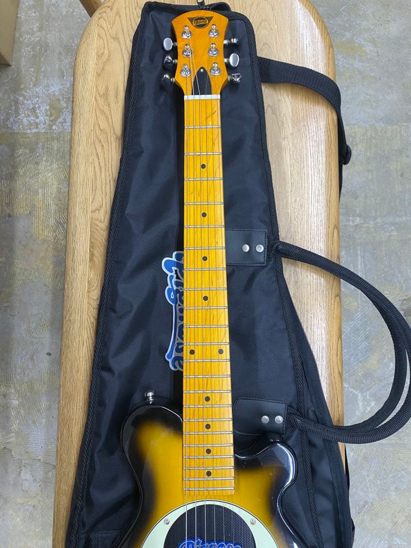 Pignose ピグノーズ エレキギター　ソフトケース付