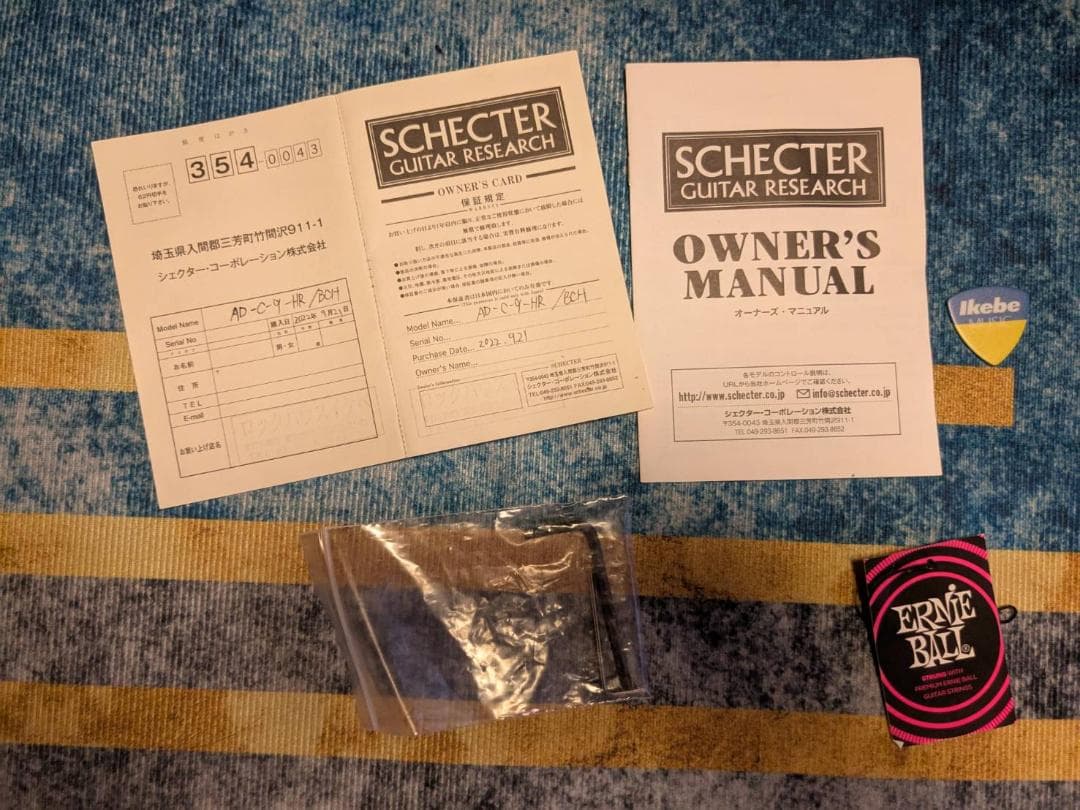 ギター HELLRAISER C-9 BCH