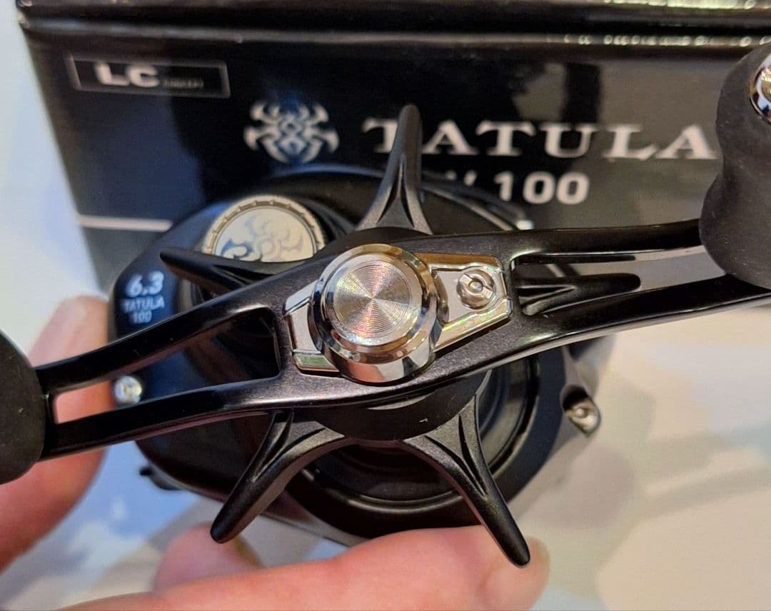 ダイワ タトゥーラ TW 100 ベイトリール