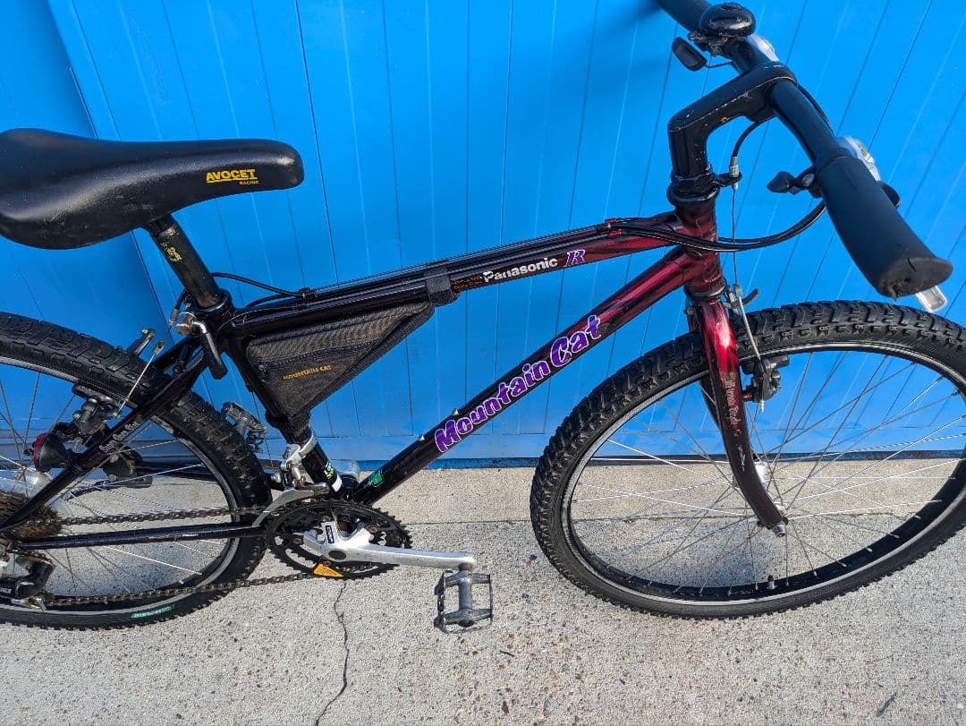 90’s OLD MTB　Mountain Cat 　マウンテンバイク