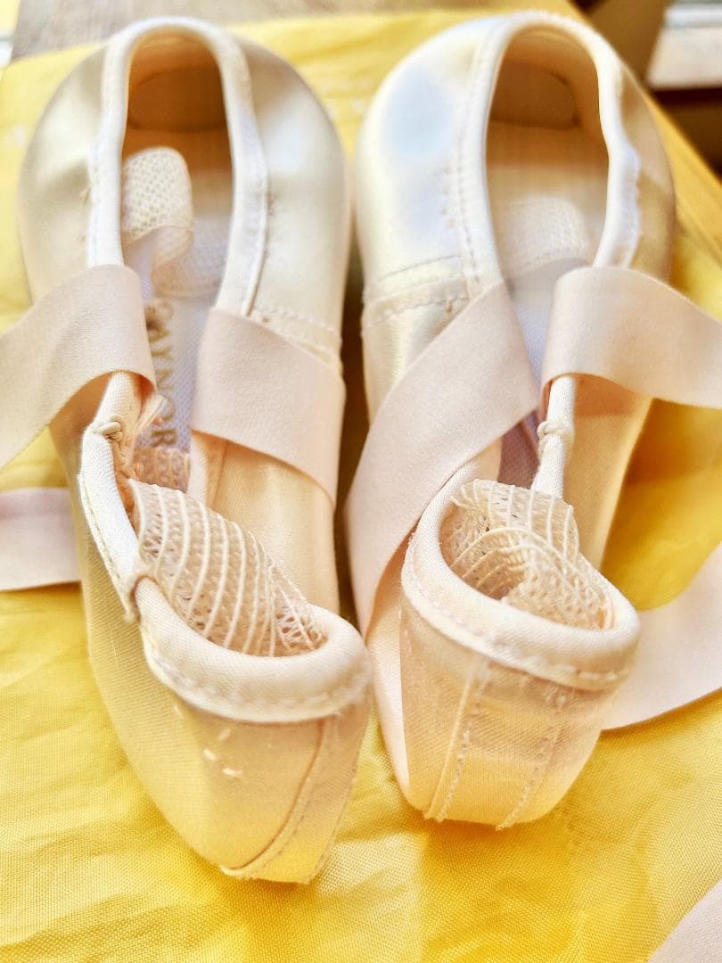 ゲイナーミンデン トウシューズ リラ 9.5 細幅