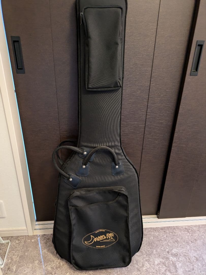 最終値下げ済　Moon ベース用　ギグケース