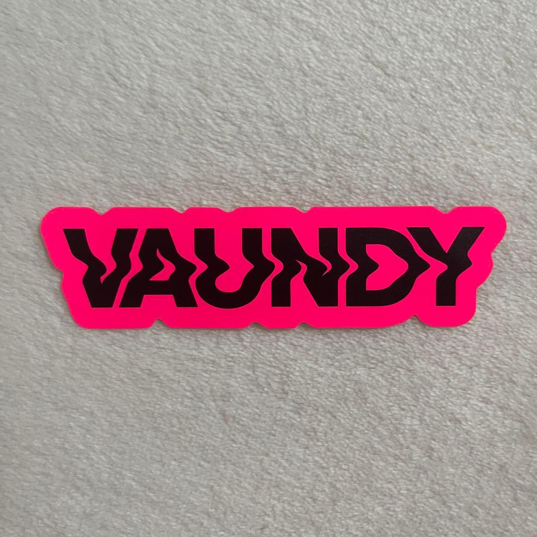 VAUNDY グッズ　ピンバッジ　ピンズ　セット　音髭　リストバンド
