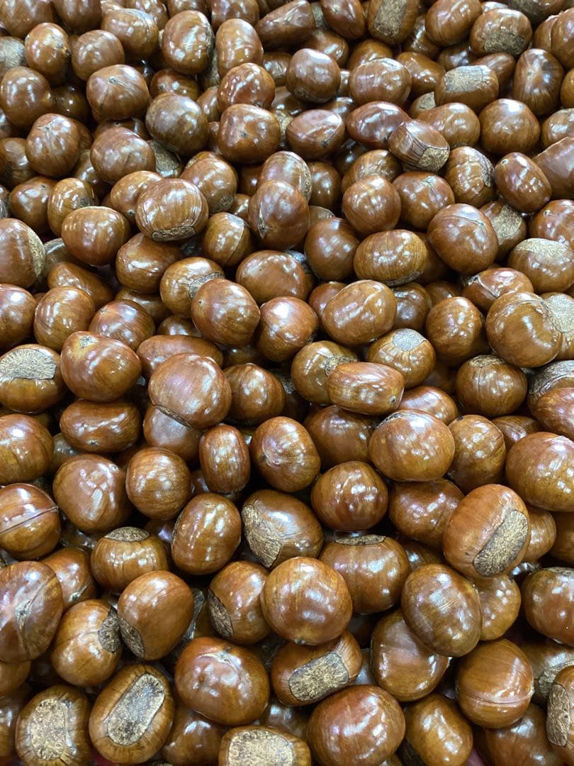 【ナナ］　　ビックサイズ‼️焼きたて‼️天津甘栗5キロ入り