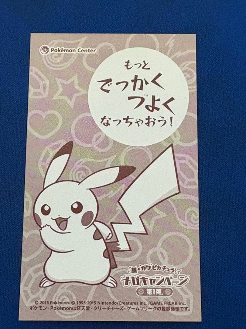 メガキャンペーンポンチョを着たピカチュウリザードン XYポケモン名刺カードポケカ