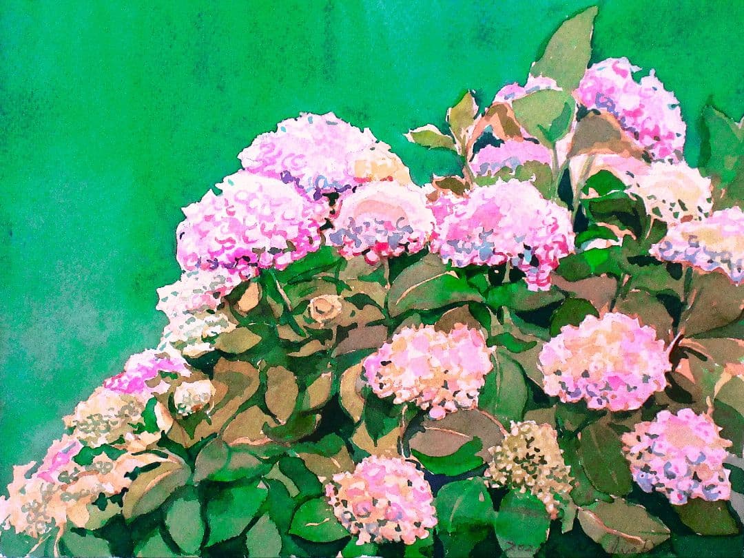 水彩画「あじさい」