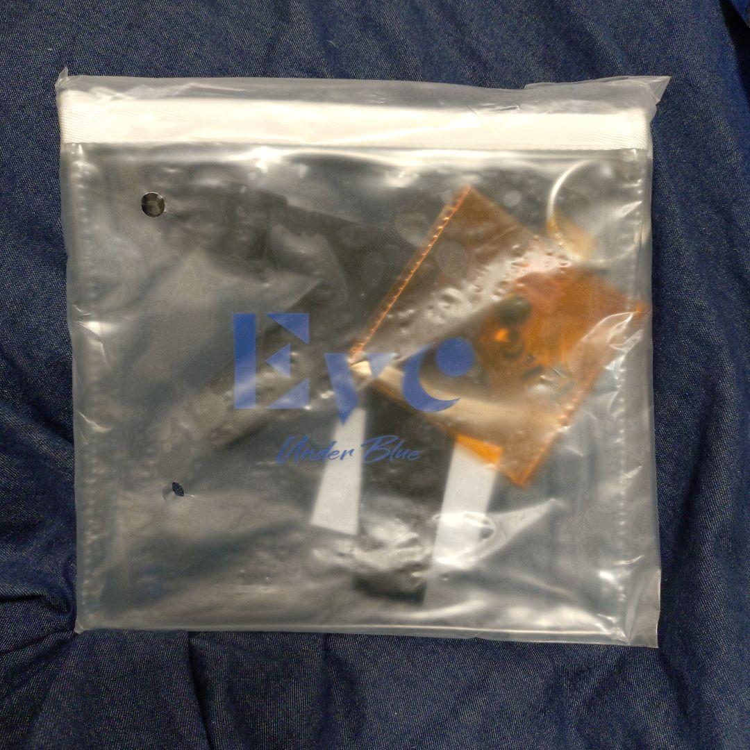 【最終値下】Eve Under Blueアイコンぬい、サコッシュ&ポーチ他