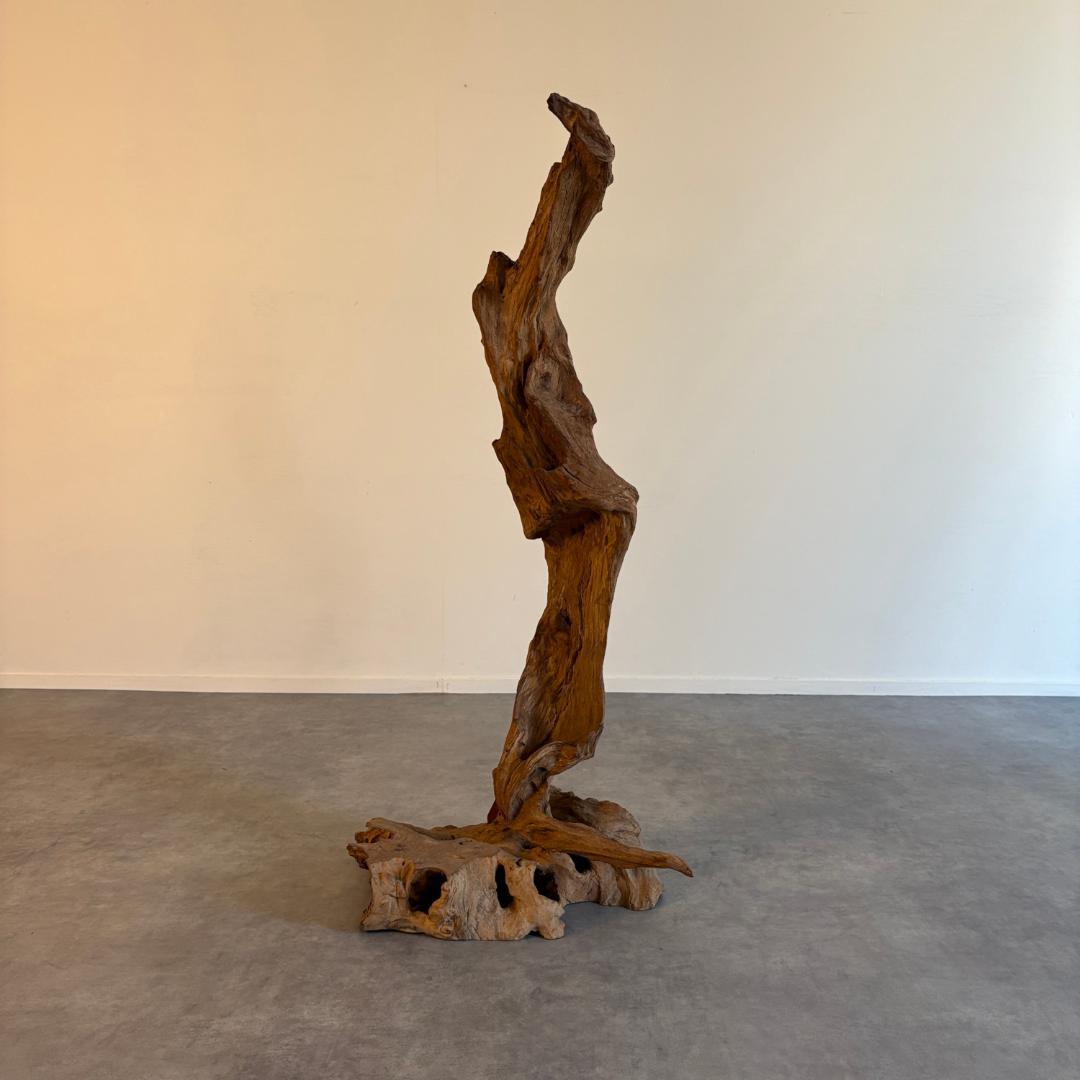 御神木　アート　インテリア　生花　オブジェ