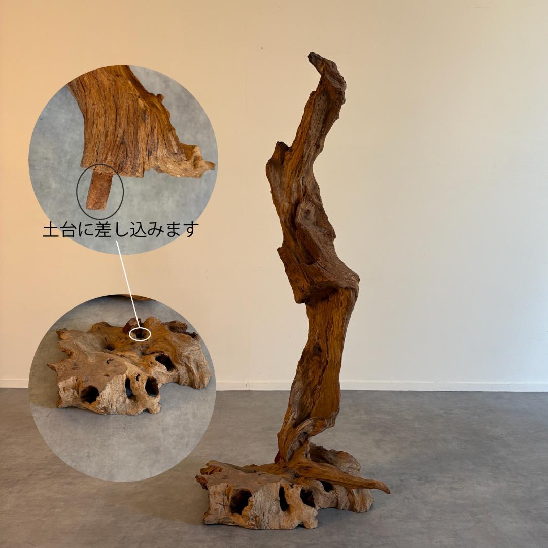 御神木　アート　インテリア　生花　オブジェ