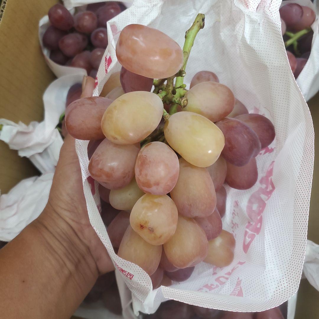 1⃣ 山梨県産 美和姫 ８房入り 箱込み5.3キロ