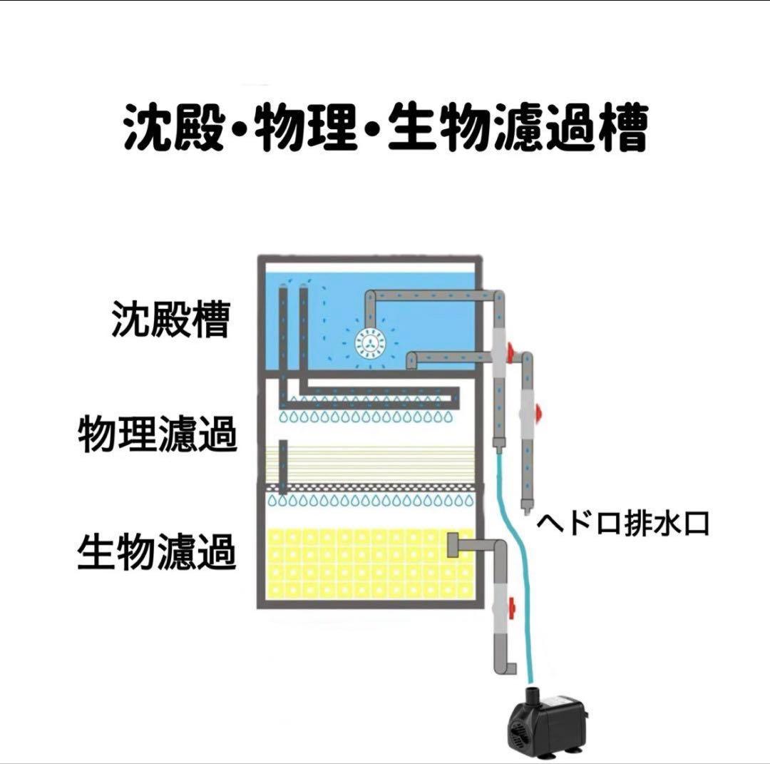 大型水槽用沈殿物理生物一体型　最強濾過槽　外部式濾過装置器　バイオフィルター付き
