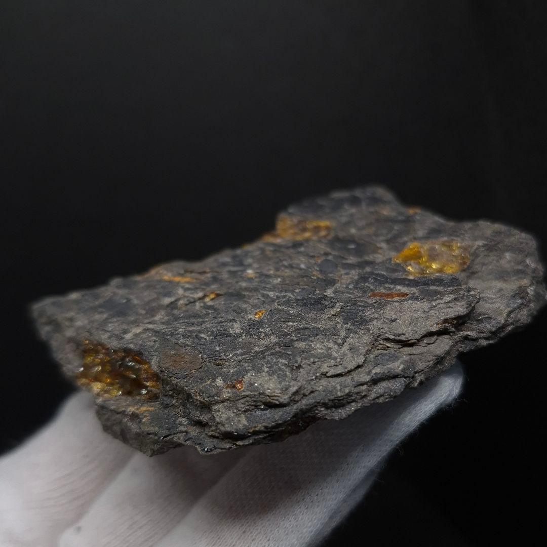 母岩付き 琥珀 化石 本物 87.71mm fab1