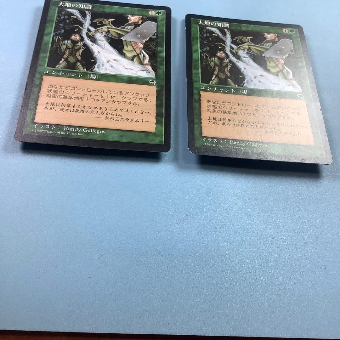 *バラ売り可* 大地の知識/Earthcraft TMP日本語2枚セット