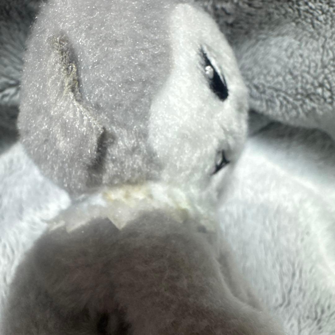 シューヤ 生誕 しゅがる マスコット