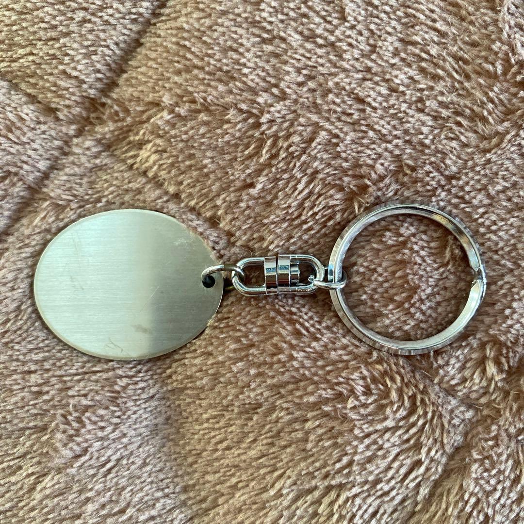 the pillows (the PILLOWS)非売品キーホルダー