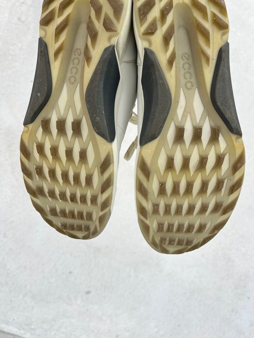 シューズ(男性用) ecco BIOM HYBRID4 H4