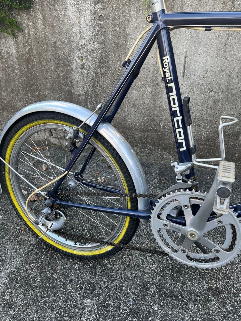 ヒカル　　　ロイヤルノートン