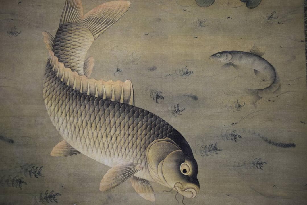 複製/繆輔/魚藻図/鯉/川魚/鮒画賛/工芸/布袋屋掛軸HJ-995