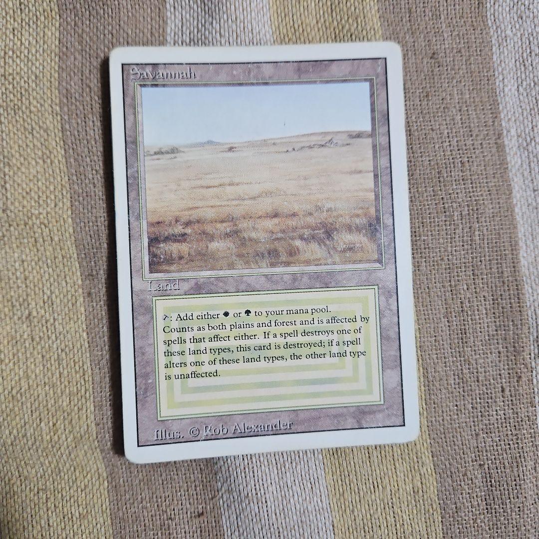 マジック：ザ・ギャザリング デュアルランド サバンナ