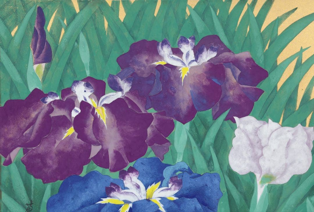 蒼波 日本画 作品「菖蒲」直筆サイン 落款 在銘 共シール 6号 額装 箱付