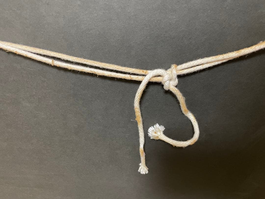 画　アイルトン・セナとアラン・プロスト　作コリン・カーター　F1レース