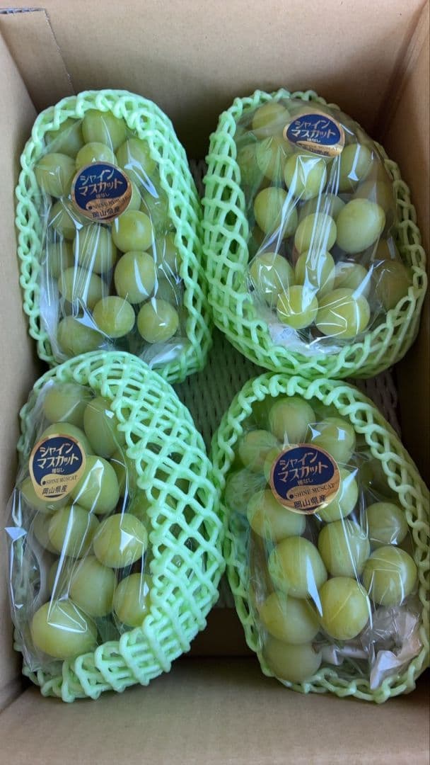 ⑧岡山県産シャインマスカット4kg